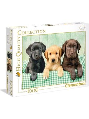 Teknocan - 1000 Parça Hq Yetişkin Puzzle - Labs