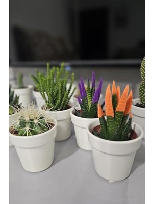 Cekar Store 3 Lü Porselen Kaktüs Saksılığı, Kaktüs Saksısı Krem
