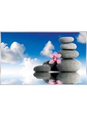 Prowall Poster Duvar Kağıdı 849 8 Parça (3.68MT x 2.54MT)