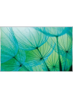 Prowall Poster Duvar Kağıdı 585 4 Parça (2.54MT x 1.84MT)