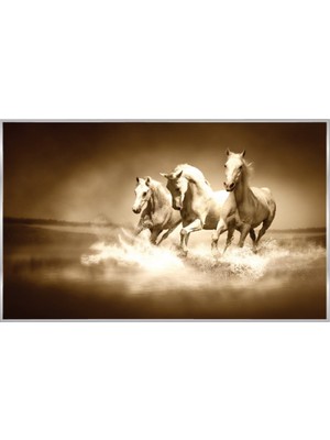Prowall Poster Duvar Kağıdı 427 8 Parça (3.68MT x 2.54MT)