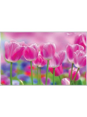 Prowall Poster Duvar Kağıdı 273 8 Parça (3.68MT x 2.54MT)