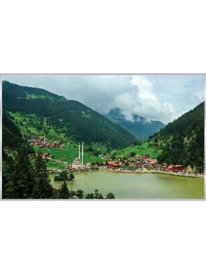 Prowall Poster Duvar Kağıdı 1064 4 Parça (2.54MT x 1.84MT)