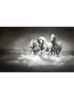 Prowall Poster Duvar Kağıdı 426 8 Parça (3.68MT x 2.54MT)