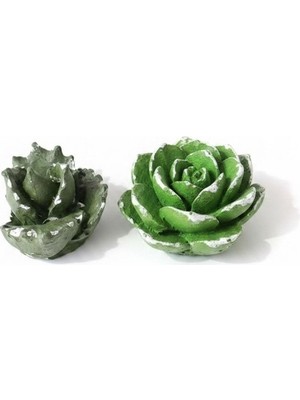 Karakız Mini Kaktüs Silikon Kalıp 3.5x2.5x2 Cm