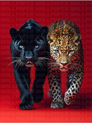 Arterior Wallpaper Siyah ve Benekli Leopar Poster Duvar Kağıdı