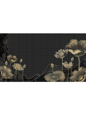 Arterior Wallpaper Siyah Zeminde Lotus Çiçeği Poster Duvar Kağıdı