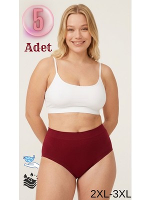 Kadın Lazer Kesim Külot 5’li Paket Yüksek Bel Pamuklu Büyük Beden Nefes Alan Iç Giyim