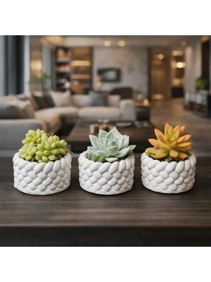 El Yapımı Mini Saksı Seti, 5 Cm, Modern Beton Tasarım