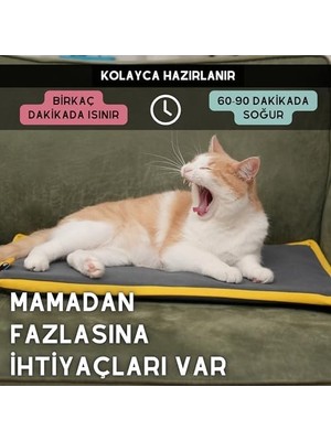 Ala Store Pawdaz Serin (60X40CM) - 4 Mevsim Kedi/köpek Matı, Veya Soğuk Kullanılabilen Minder Yatak