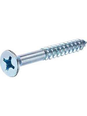 Ala Store The Group 40037 6-Inç x 2-1/2-Inç Düz Başlı Phillips Ahşap Vida, 100'LÜ Paket, Çinko
