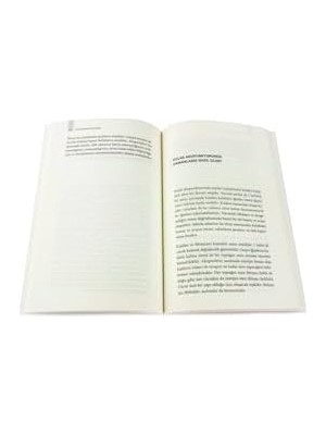 Ala Store Kulak Akapunkturu