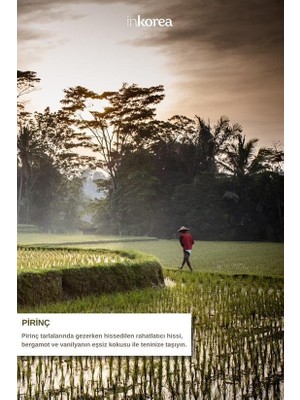 Ala Store Inkorea Inkorea Cilt Beyazlatıcı Etkili Pirinç Özlü Doğal Kabak Lifli Sabun 100 Gram