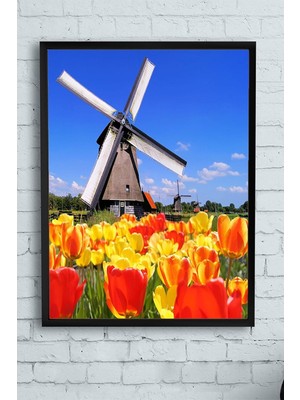 Ala Store (PSTER11247) Hollanda Manzara Çerçeveli Tablo (40X50CM)
