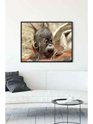 Ala Store (PSTER13936) Yavru Eğlenceli Mizahi Çerçeveli Tablo (50X70CM)