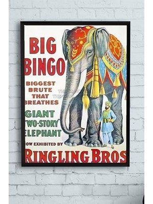 Ala Store (PSTER10243) Big Bingo Çerçeveli Tablo (50X70CM)