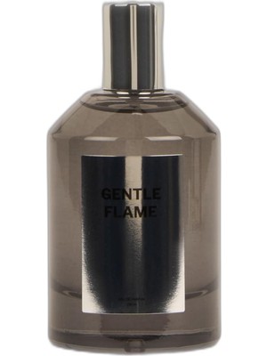 Ala Store Erkek 100 ml Parfüm, H1479AXNS