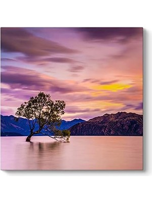 Ala Store Wanaka Ağacı Tablosu 40 x 40