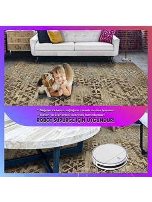 Ala Store Dizayn Aspen Desenli Kadife Pamuk Tabanlı Yıkanabilen Kaydırmaz Antibakteriyel Salon Halısı 200X300