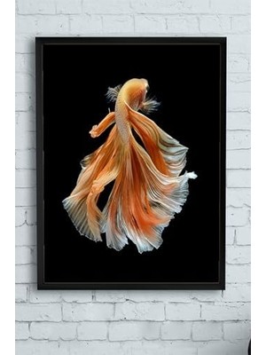 Ala Store (PSTER13177) Sanatsal Balık Hayvan Çerçeveli Tablo 2 (21X30CM)