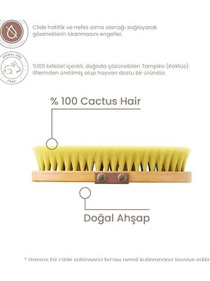 Ala Store %100 Kaktüs Kılı Pürüsüzleştirici Vücut Fırçası
