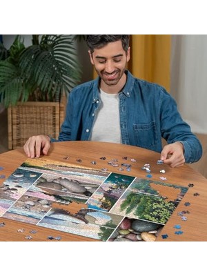 Ala Store , 1000P Puzzle Sakin Sahil, Yetişkin Puzzle