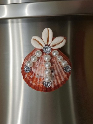 “kıyı Masalı Koleksiyonu” El Yapımı Deniz Kabuklu Magnet 6
