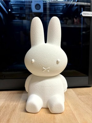 Oko Design Dekoratif Kumbara Tavşan Desenli Çocuk Genç Kumbara (20CM)