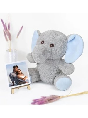 Esranın Dünyası Şövaleli Peluş Ayıcık - 20-25 cm