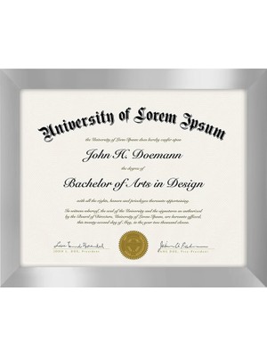 8,5 x 11 Gümüş Resim Çerçevesi - Kırılmaya Dayanıklı Camlı Diploma Çerçevesi Veya Sertifika Çerçevesi Olarak Kullanın - Duvar ve Masa Üstü Ekranı Için Asma Donanım ve Şövale Dahil