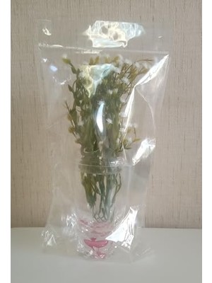 2 Adet Dahil,vazoda Çiçek,beyaz Yapay Çiçek, Dekoratif Kristal Damlalı 6X6X19CM
