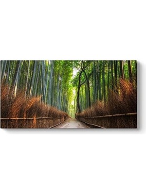 Bliss Store Japonya Bambu Tarlası Tablosu 120 x 60