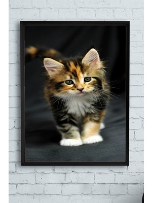 Bliss Store (PSTER11543) Kedi Hayvan Çerçeveli Tablo 2 (30 x 40CM)