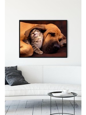 Bliss Store (PSTER11585) Kedi ve Köpek Eğlenceli Mizahi Çerçeveli Tablo (50X70CM)