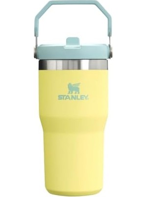 Bliss Store Buz Akışı Go 600ML/20OZ Flip Straw Wtr Btl Pomelo