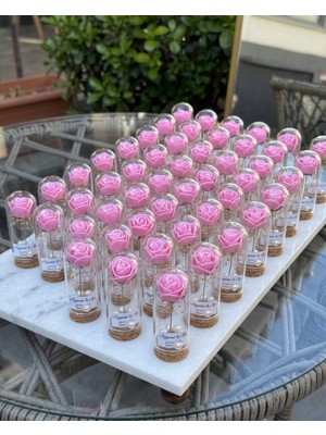 Cam Fanusta Pembe Gül ve Inci - Nikah, Söz, Nişan ve Düğün Hediyeliği (25 Adet)