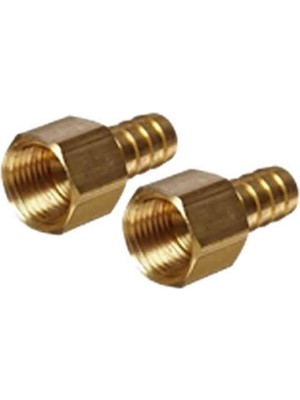 Klepsan Pirinç Dişi Hortum Rekoru 1/4 -  10 mm - 1 Adet