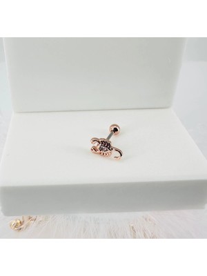 Selfbuysell Tragus Kıkırdak Küpesi