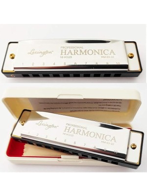 10 Delikli Mızıka Professional Harmonica Do (C)