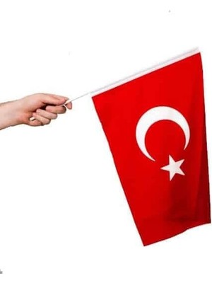 FourForce Türk Bayrağı 20X30 cm Alpaka Kumaş