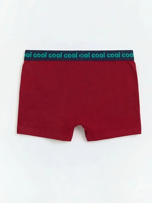 LC Waikiki Karışık Baskılı Erkek Çocuk Boxer
