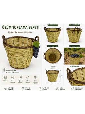Gartol Üzüm Toplama Sepeti