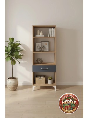 Silva 3 Raflı Dolap Tek Çekmeceli 60X30X163 Çam-Antrasit | Modern Depolama
