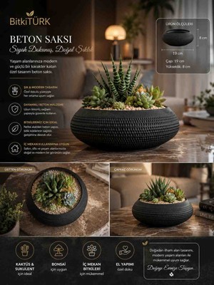 🖤✨ Bitkitürk Siyah Beton Saksı 18X8 cm – Premium Dekoratif Sukulent, Bonsai ve Iç Mekân Saksısı ✨🖤
