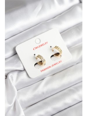 Vice Avm 14K Gold Renk Kaplama cm Kadın Küpe - TJ-BKP11407 TG-1395 346463