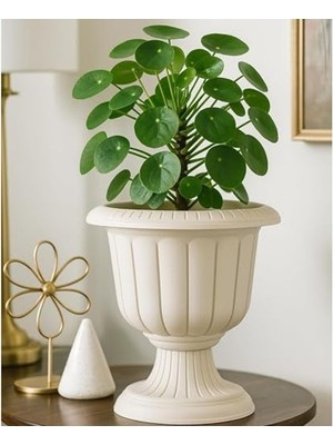 Cekar Store Nergis Ayaklı Plastik Saksı, Beyaz, Deliksiz, 3,4 Litre, Uv Dayanıklı, Balkon ve Bahçe Için