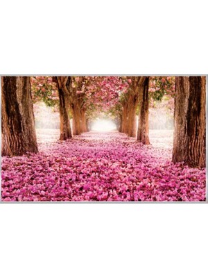 Prowall Poster Duvar Kağıdı 851 4 Parça (2.54MT x 1.84MT)