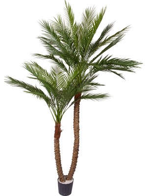 Herdekora Yapay Palmiye Ağacı Gerçek Dokulu 2 Gövdeli Yeşil 210 Cm.