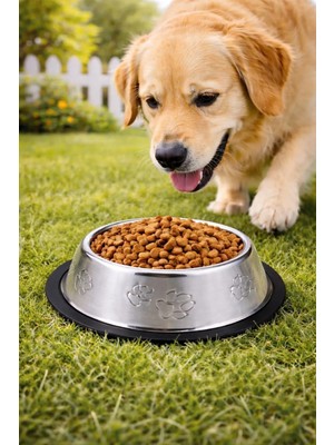 Weather Forecast 2 Adet Çelik 500 Ml. 22 Cm.gri  Kedi Köpek Kaymaz Taban Mama ve Su Kabı MT251-2