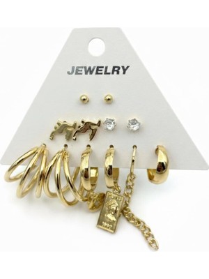 Stainless Steel Gold Renk 12 Adet (6 Çift) Küpe Set 11